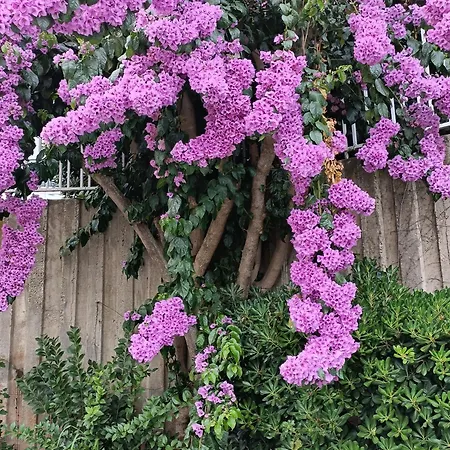 Vue Magnifique Sur Le Port 80m2 Piscine Tennis Parking Climatisation Apartment *